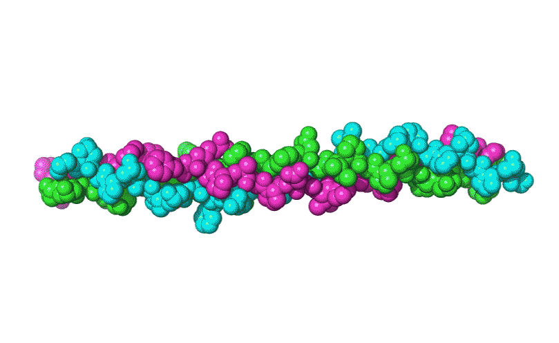 三螺旋结构的三型胶原蛋白.gif